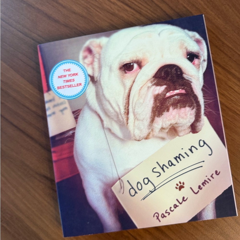 Dog Shaming Portraits